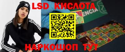 гидра Будённовск