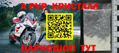 гидра Будённовск