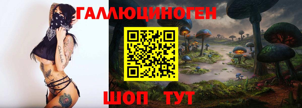 цены   Вход с VPN  Новокуйбышевск  Псилоцибиновые грибы Psilocybine cubensis 
