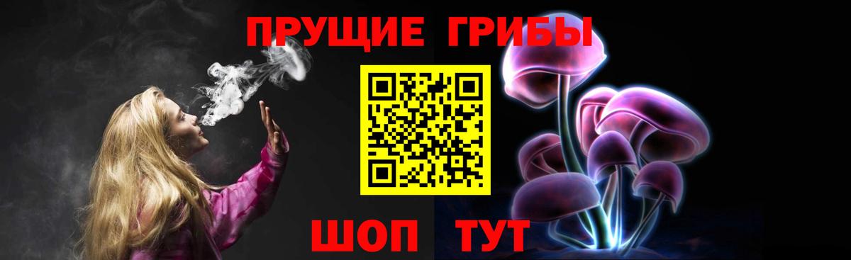 Галлюциногенные грибы Cubensis Новокуйбышевск