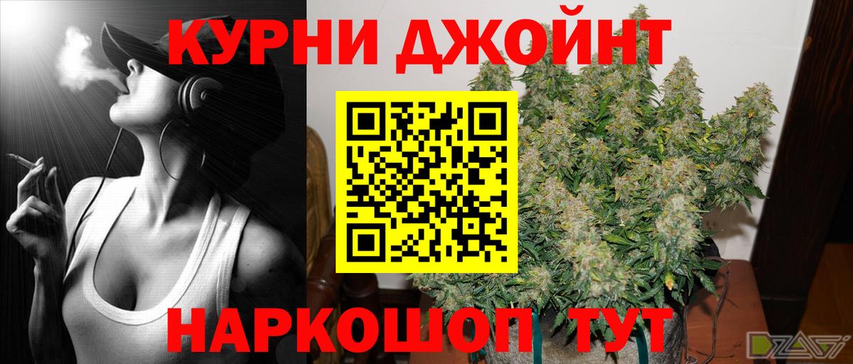 Бошки Шишки SATIVA & INDICA  Бошки Шишки планчик  Марихуана OG Kush  Шишки марихуана конопля  Новокуйбышевск  Вход с VPN 